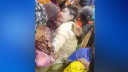 নারী চিকিৎসককে টেনেহিঁচড়ে রাস্তার ওপর মারধর, রক্ষা পাননি স্বামীও